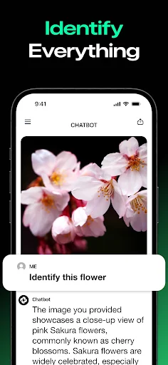 Chatbot - screenshot 6