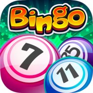 Bingo app icon