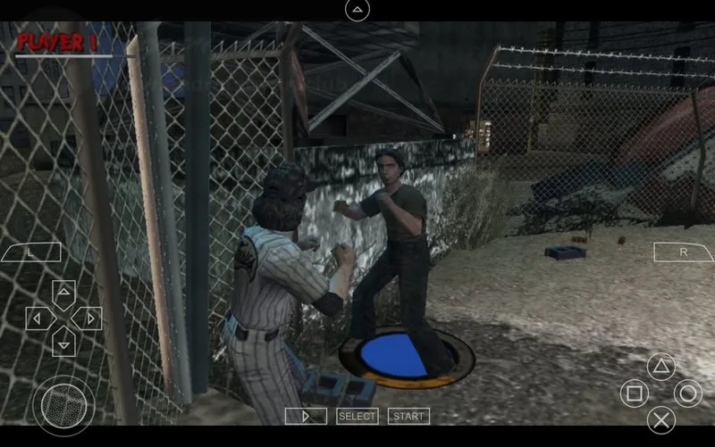 The Warriors - screenshot 1