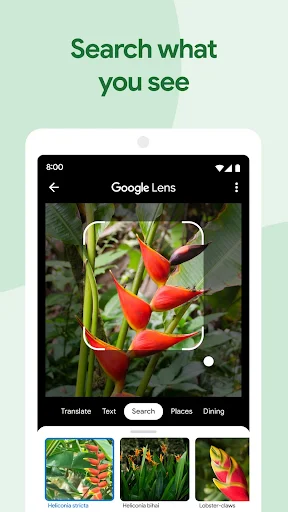 Google Photos - screenshot 3