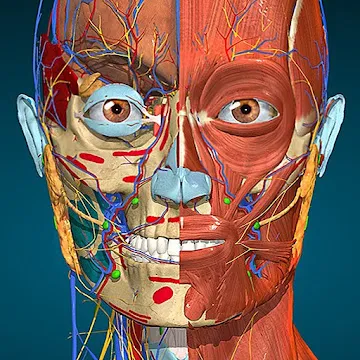 Anatomy Learning - 3D Anatomy Atlas app icon