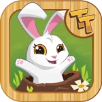 Tunnel Town app icon
