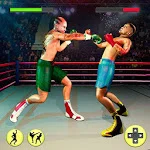 Ninja Punch Boxing Fighter Kung Fu Combat World app icon