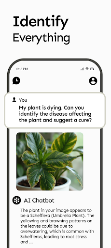 AI Chatbot for DeepSeek R1+ - screenshot 6