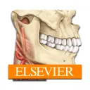 Toca Life: Hospital(Unlocked all)1.2-play_playmods.io