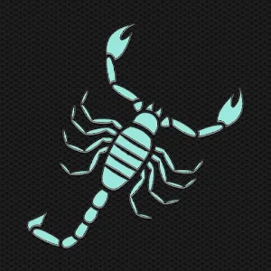 B1ack Scorpion app icon