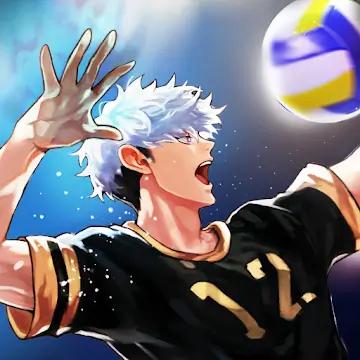 The Spike Cross Volleyball