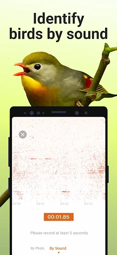 Picture Bird - screenshot 3