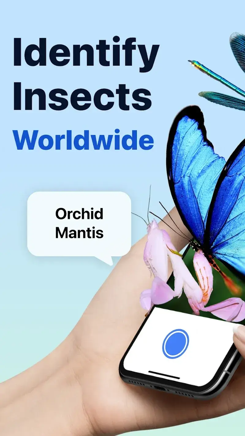 Picture Insect Bug Identifier - screenshot 1