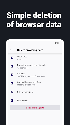 Internet Web Browser - screenshot 5
