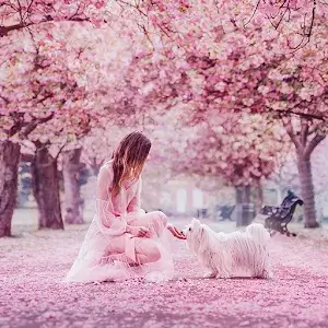 Girly Wallpapers for Girls app icon