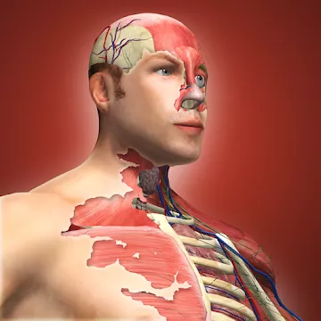 Toca Life: Hospital(Unlocked all)1.2-play_playmods.io