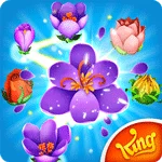 Blossom Blast Saga app icon