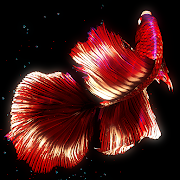 BETTA 120HZ - app icon