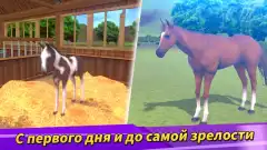 Derby Life - screenshot 2