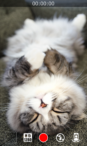 Silent Video Camera 8.0.1 APK MOD (Premium Unlocked) - screenshot 2