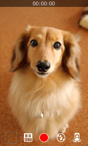 Silent Video Camera 8.0.1 APK MOD (Premium Unlocked) - screenshot 4