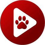 Bear Player app icon