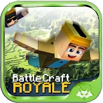 Battle Craft Royale app icon