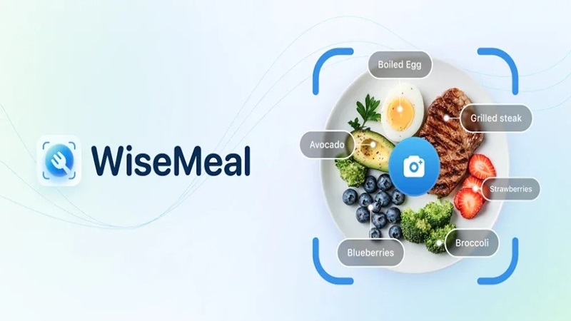 WiseMeal APK app icon