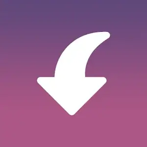 Insget - Instagram Downloader app icon