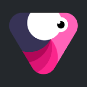 Velomingo app icon