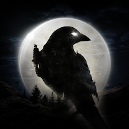 NIGHT CROWS app icon