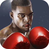 Punch Boxing 3D app icon