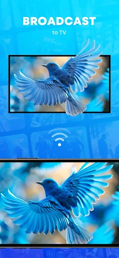 SPL - Smarter Player Lite - screenshot 3