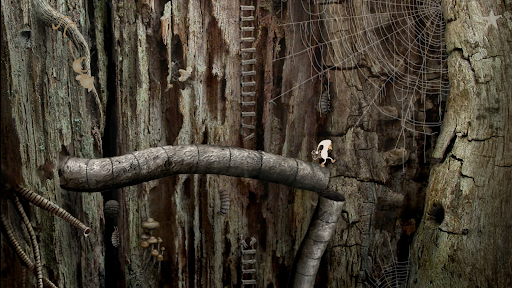 Samorost 2 - screenshot 2