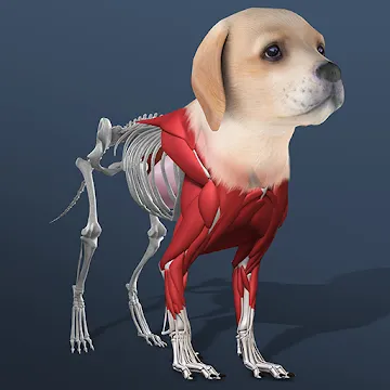 Toca Life: Hospital(Unlocked all)1.2-play_playmods.io