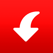 Pinterest Video Downloader - app icon